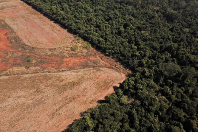 Vue aérienne saisie le 28 juillet 2021 montrant la déforestation à la frontière entre l’Amazonie et la région du Cerrado au Brésil.
