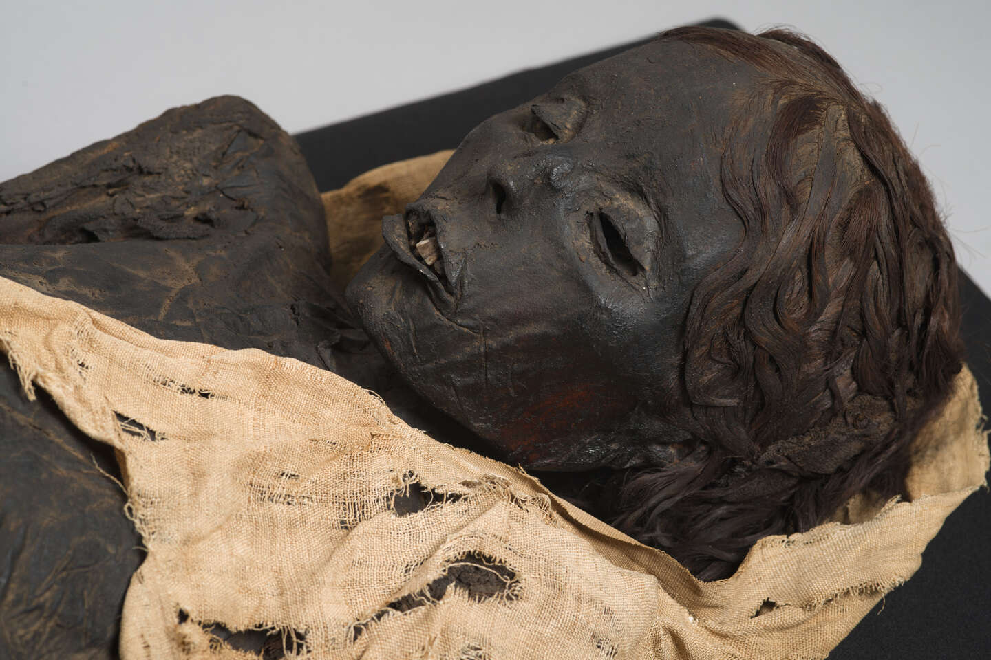 Al Museo di Tolosa, la scienza scrive il romanzo La mummia