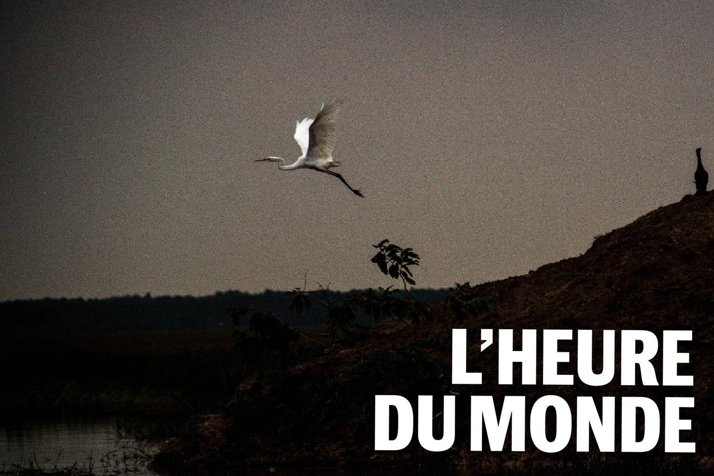 La biodiversité disparaît-elle dans l’indifférence ?