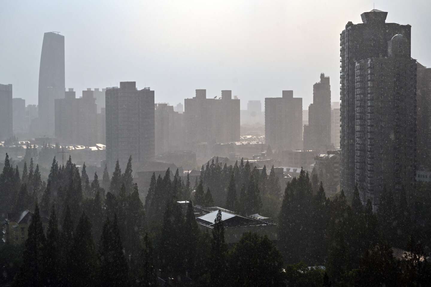 A Shanghaï, la salinisation de l’eau douce menace les écosystèmes et l’agriculture