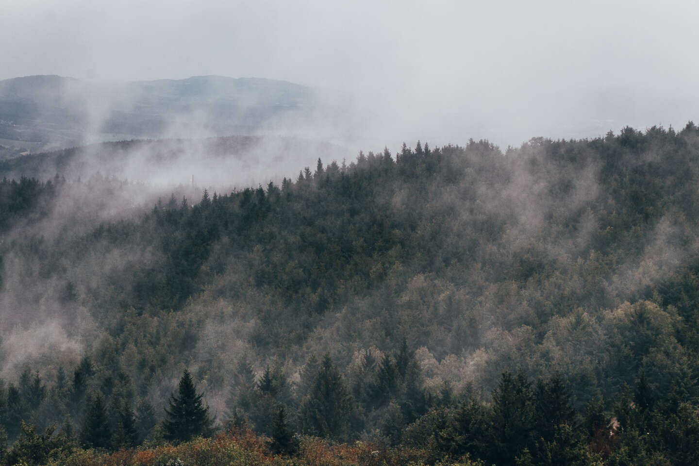 Formation des nuages, cycle des pluies… Le rôle des forêts pour réguler le climat reste largement sous-estimé