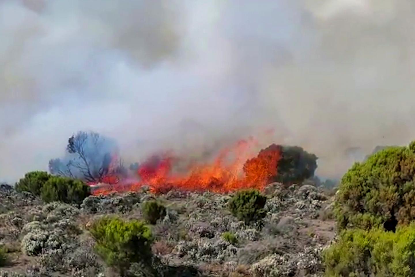 Tanzanie : l’incendie sur le Kilimandjaro est « maîtrisé » Tanzanie : l’incendie sur le Kilimandjaro est « maîtrisé »
