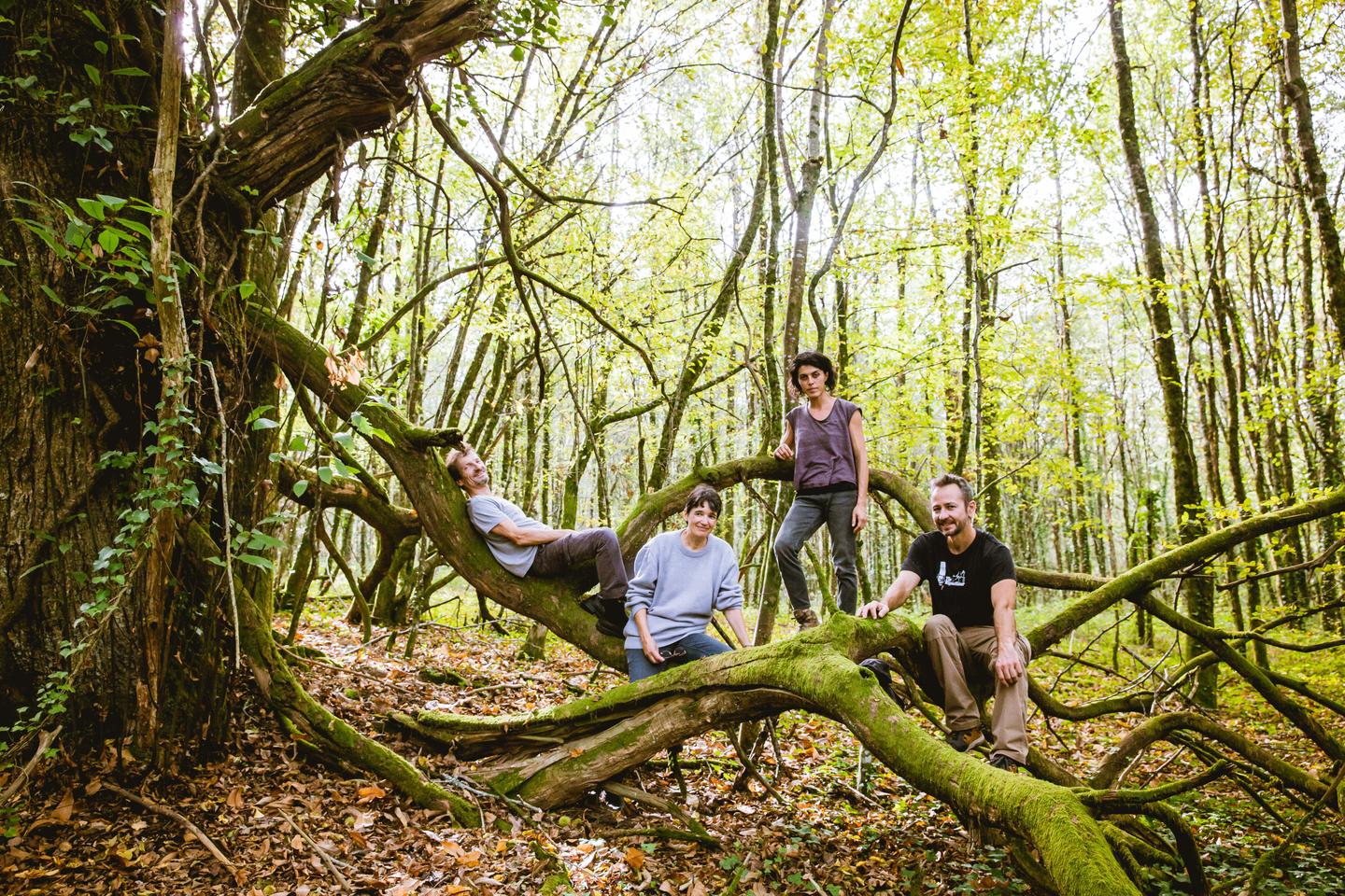 femme en portant un réel pot avec une arbre plante à l'intérieur