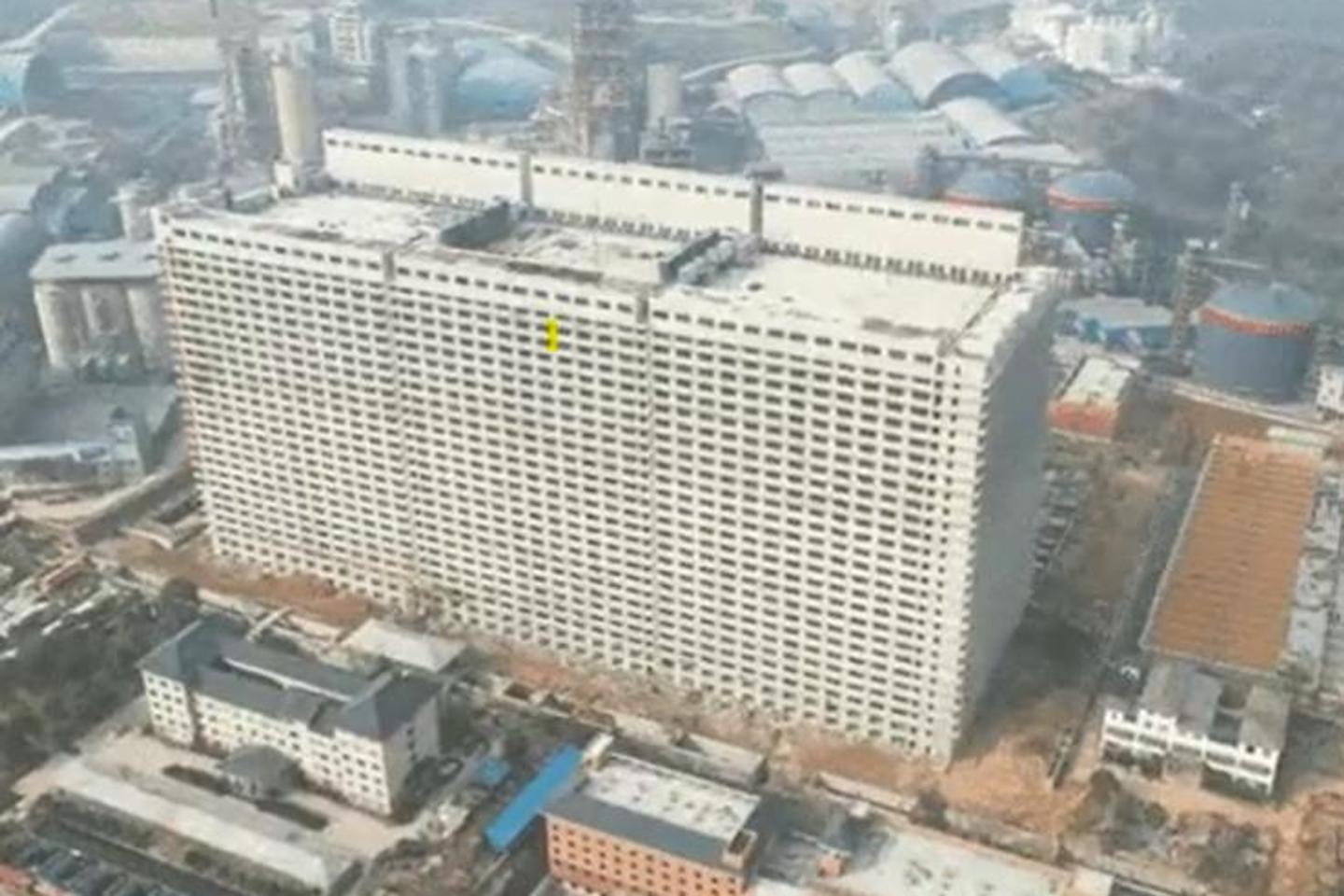 26 Stories Of Swine World s Largest Pig Farm Opens In China