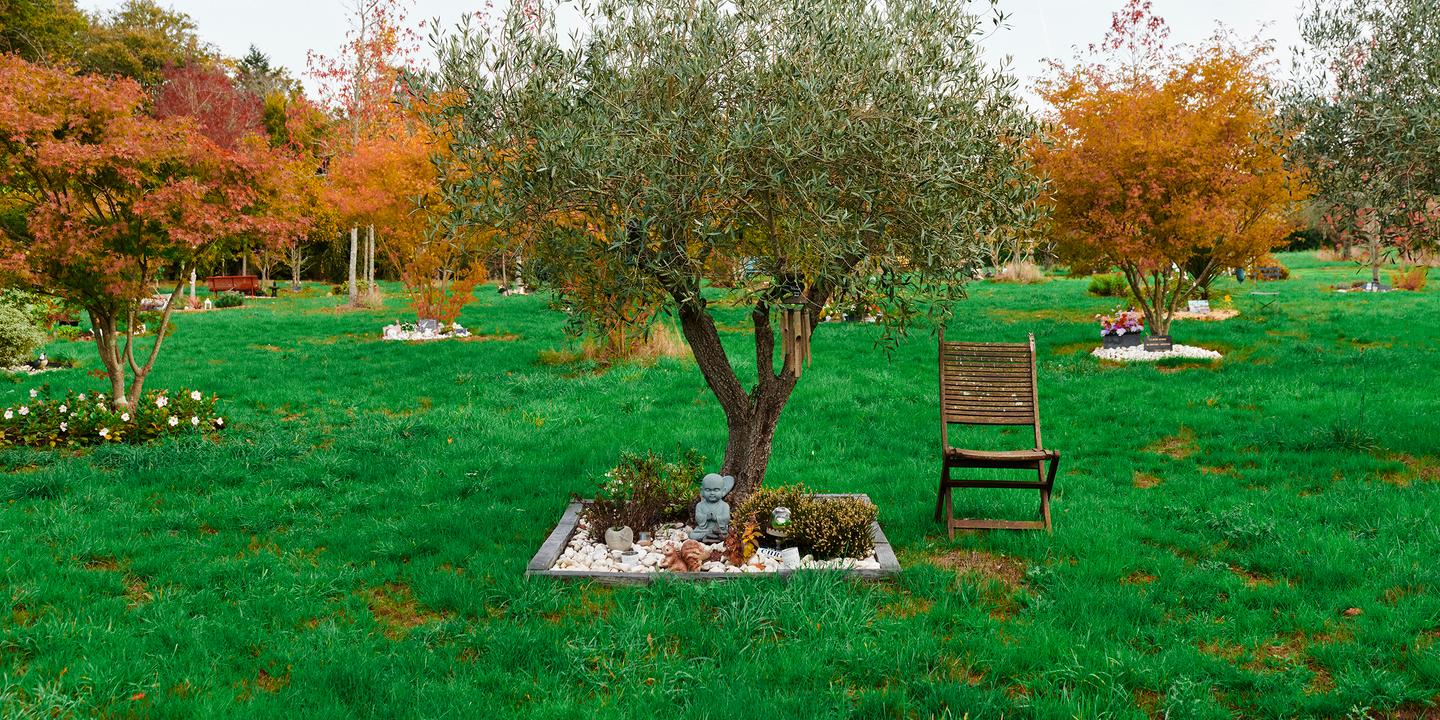 A Quoi était Condamné Un Défunt Privé De Sépulture Des urnes à l'abandon et l'angoisse des familles de défunts aux Jardins de  mémoire