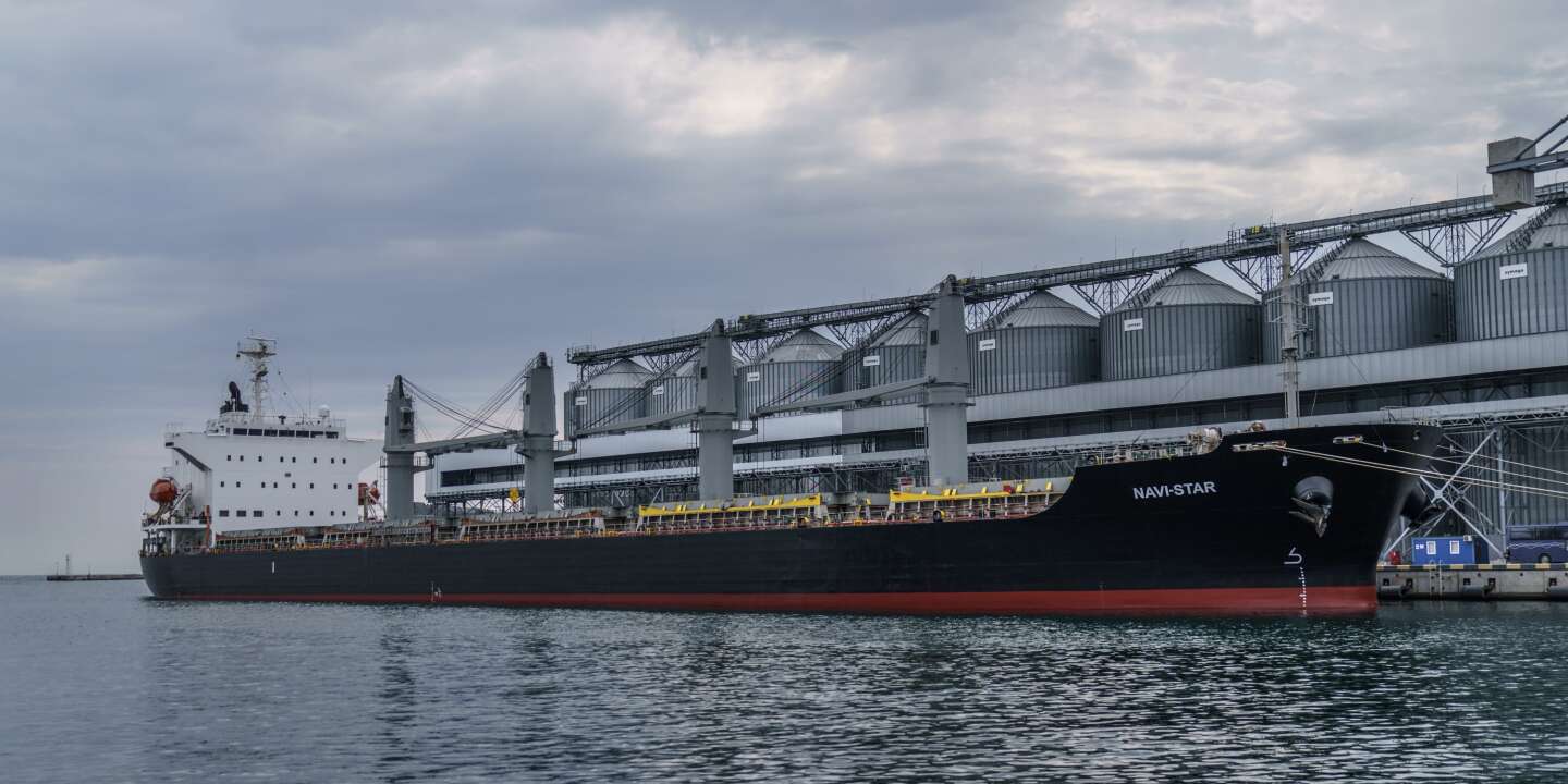 Die UN sagt, dass Schiffe, die ukrainisches Getreide sicher transportierten, nicht dazu benutzt wurden, die russische Flotte im Schwarzen Meer anzugreifen.