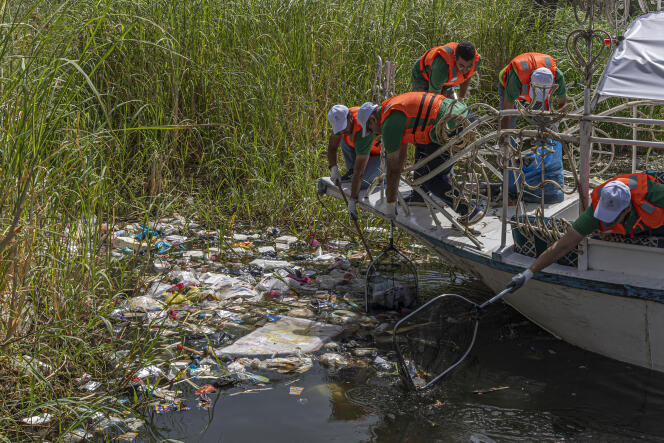 Des volontaires ramassent du plastique et des déchets dans le cadre de la campagne de nettoyage du Nil, au Caire (Egypte), le 29 septembre 2022.