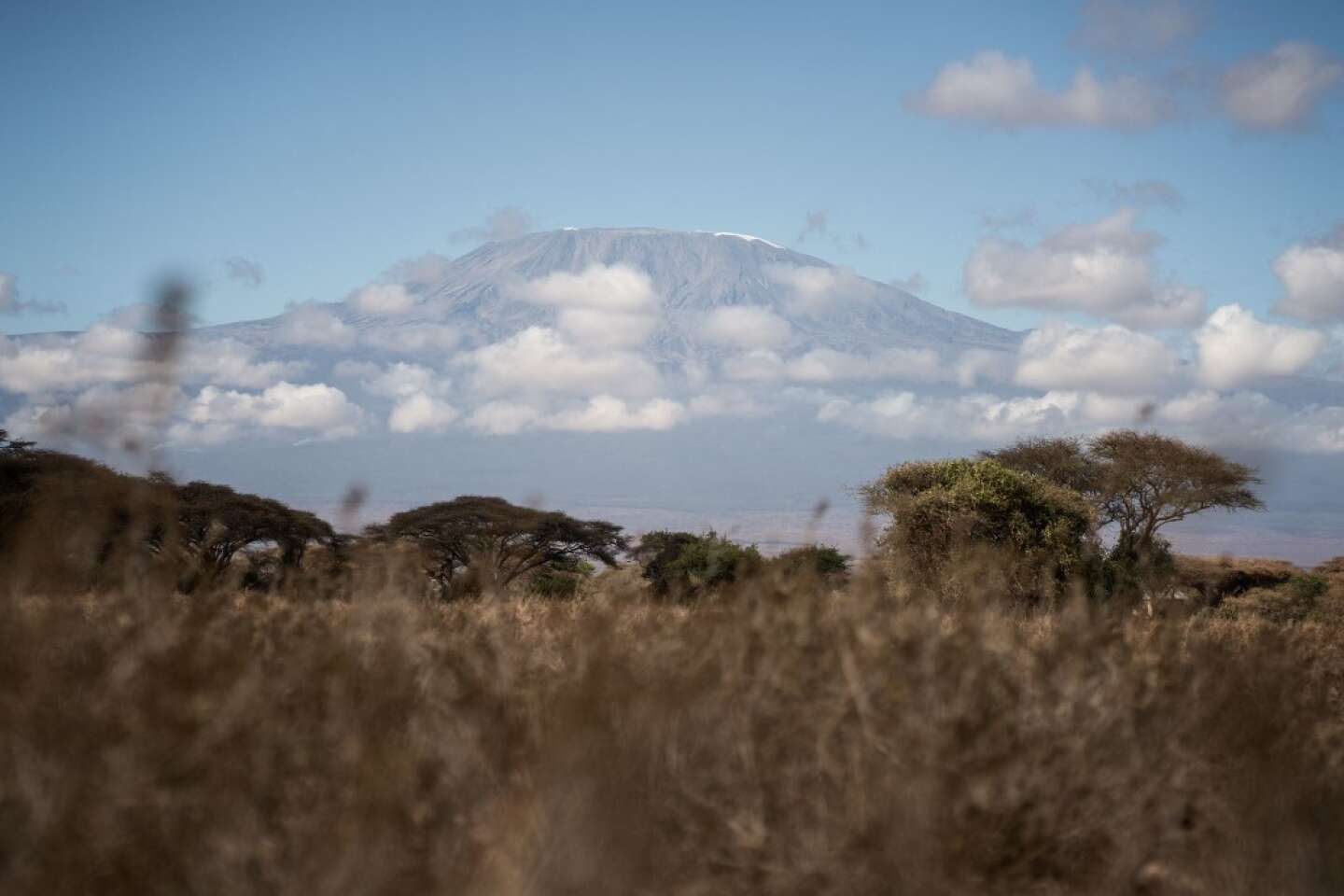 La Tanzanie déploie l’armée face à un feu sur le Kilimandjaro