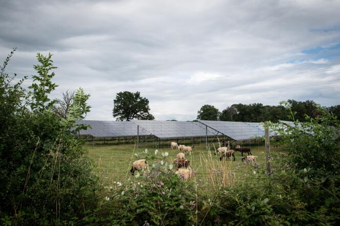 Parc photovoltaïque de Verneuil/Charrin (Nièvre), le 25 juillet 2021.