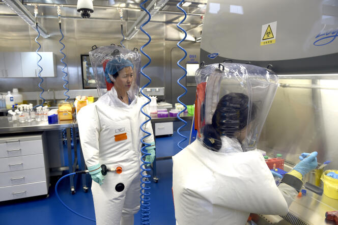 Shi Zhengli au laboratoire P4 de l’Institut de virologie de Wuhan (WIV), en 2017. Surnommée « Bat Woman », la virologue chinoise a dirigé de nombreux travaux de manipulation de coronavirus prélevés sur des chauve-souris.