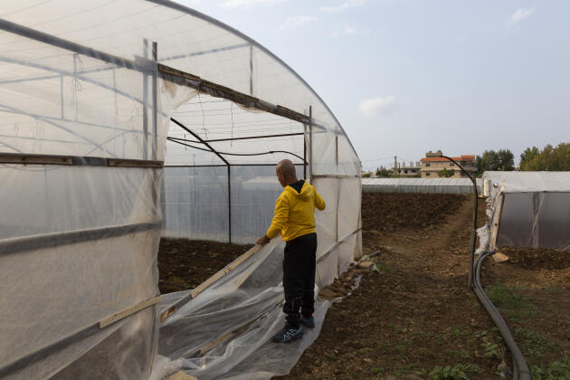 One of the greenhouses belonging to Ahmad Ajaj, a farmer in Haryk, near the town of Bebnine in northern Lebanon, on Tuesday, November 1, 2022.
