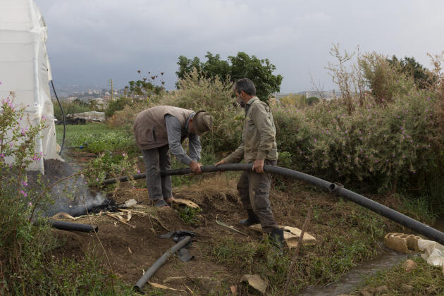 Ahmad Ajaj's cousin and his employee repair the pipes before watering the vegetables they planted in the village of Haryk, near the town of Bebnine, in Akkar, northern Lebanon, on November 1, 2022. Ahmad Ajaj and his cousin installed a water filter that cleans the water before irrigating.