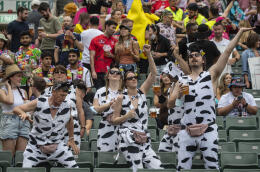Spectators dressed in costume dance during the second day of the Hong Kong Sevens rugby tournament in Hong Kong, Saturday Nov. 5, 2022. The Hong Kong tournament is being played for the first time in three years after being suspended during the COVID-19 pandemic. It is the first of 11 tournaments on the 2022-23 World Series. (AP Photo/Vernon Yuen)