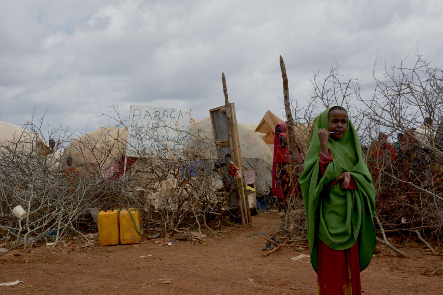 La Somalie terrassée par la sécheresse et la faim