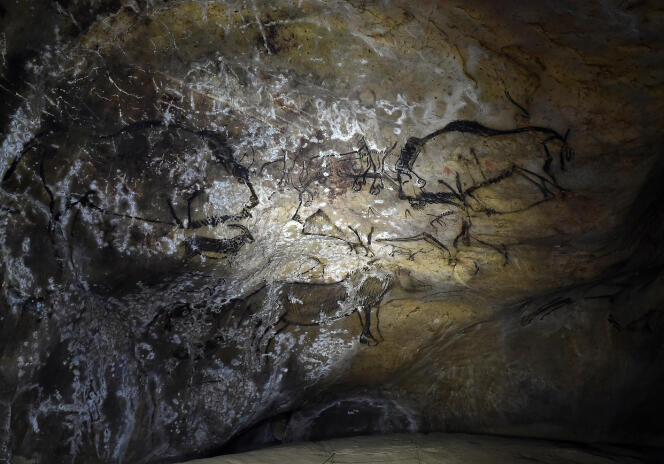 Des dessins représentant des bisons, des chevaux et d’autres animaux, faisant partie de l’art pariétal ou art préhistorique, ornent les murs de la grotte de Niaux, dans le sud-ouest de la France, le 8 novembre 2017.
