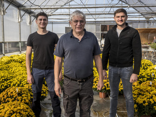 Гийом, Тибо и их отец Пьер в органическом огороде Carmantrand frères, производителя органических фруктов, овощей и злаков, в Вильвье, в Юре, 27 октября 2022 года.