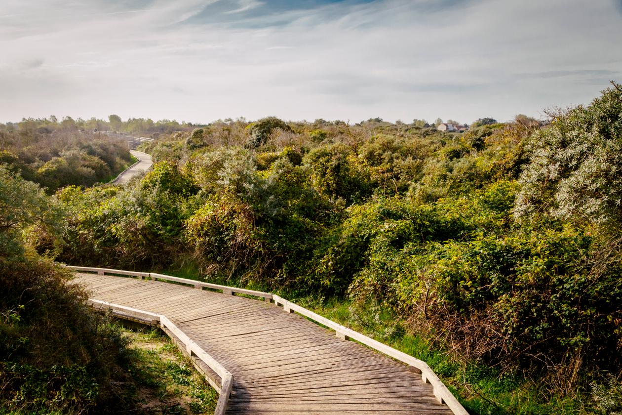 La Flandre maritime, de l’Aa à l’autre Sahara