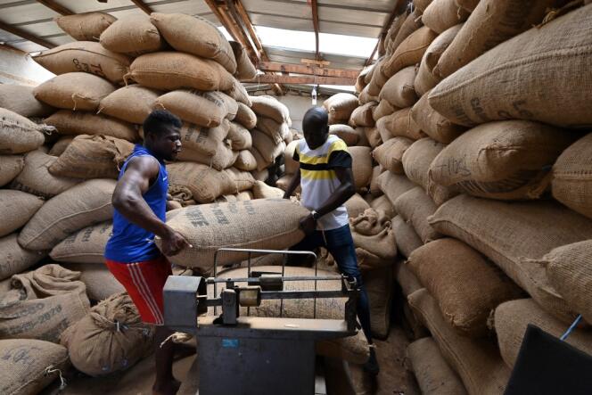 Dans l’entrepôt d’un collectif de cacaoculteurs, à M’Brimbo, un village du centre de la Côte d’Ivoire, en avril 2021.