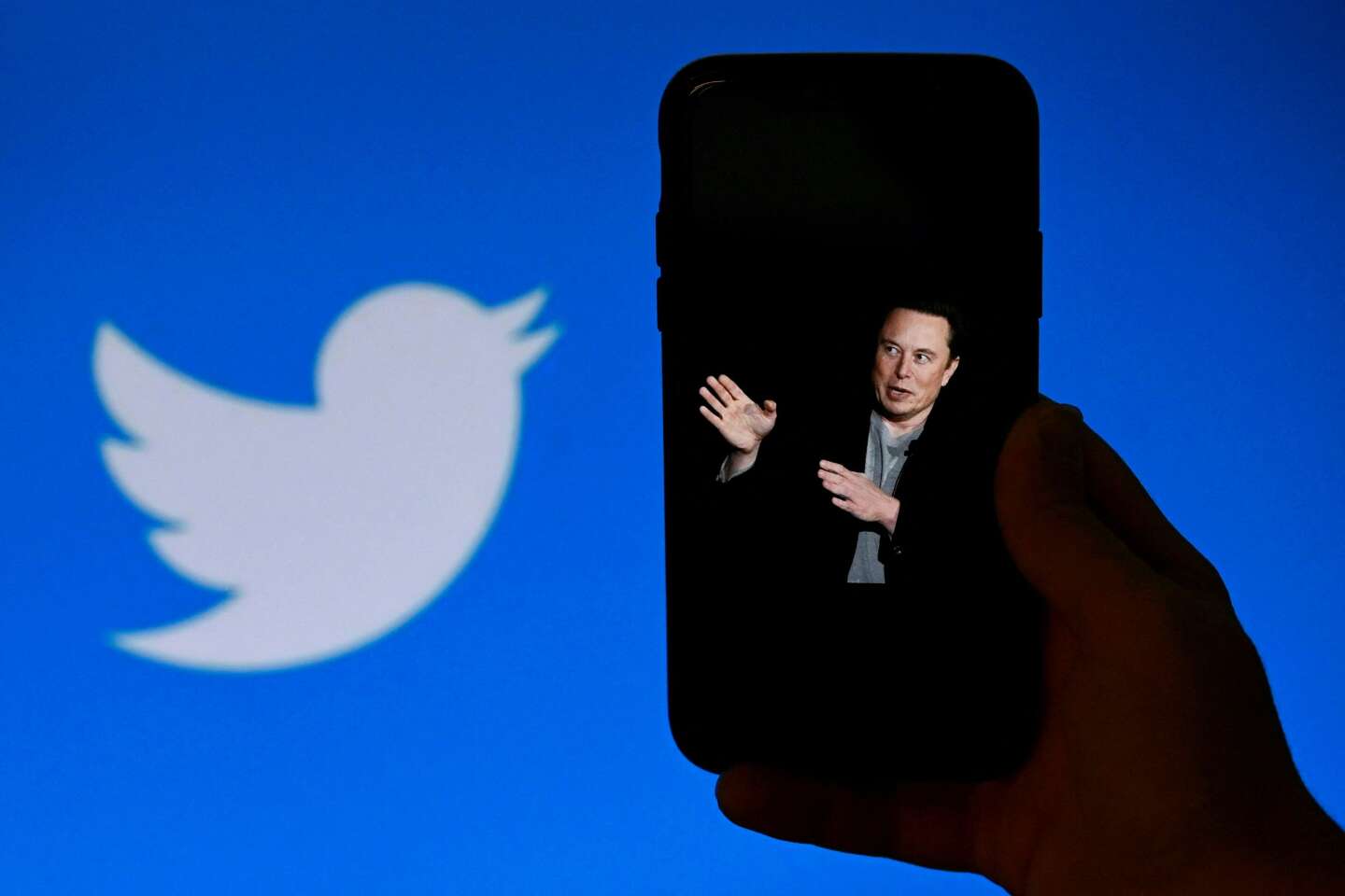 Elon Musk annonce une « amnistie » et le rétablissement des comptes suspendus sur Twitter - Le Monde