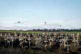 Un cimetière à Marioupol, 29 novembre 2022.