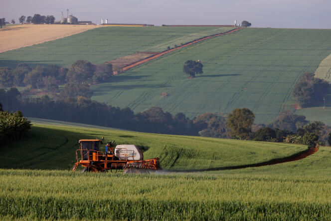 A farmer sprays pesticides on a wheat field, in Arapongas (Brazil), July 6, 2022.