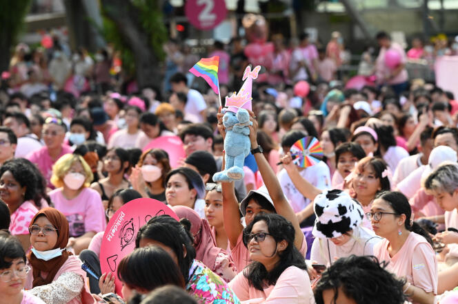 Des partisans assistent à l’événement annuel « Pink Dot » dans une démonstration publique de soutien à la communauté LGBT au parc Hong Lim à Singapour, le 18 juin 2022.