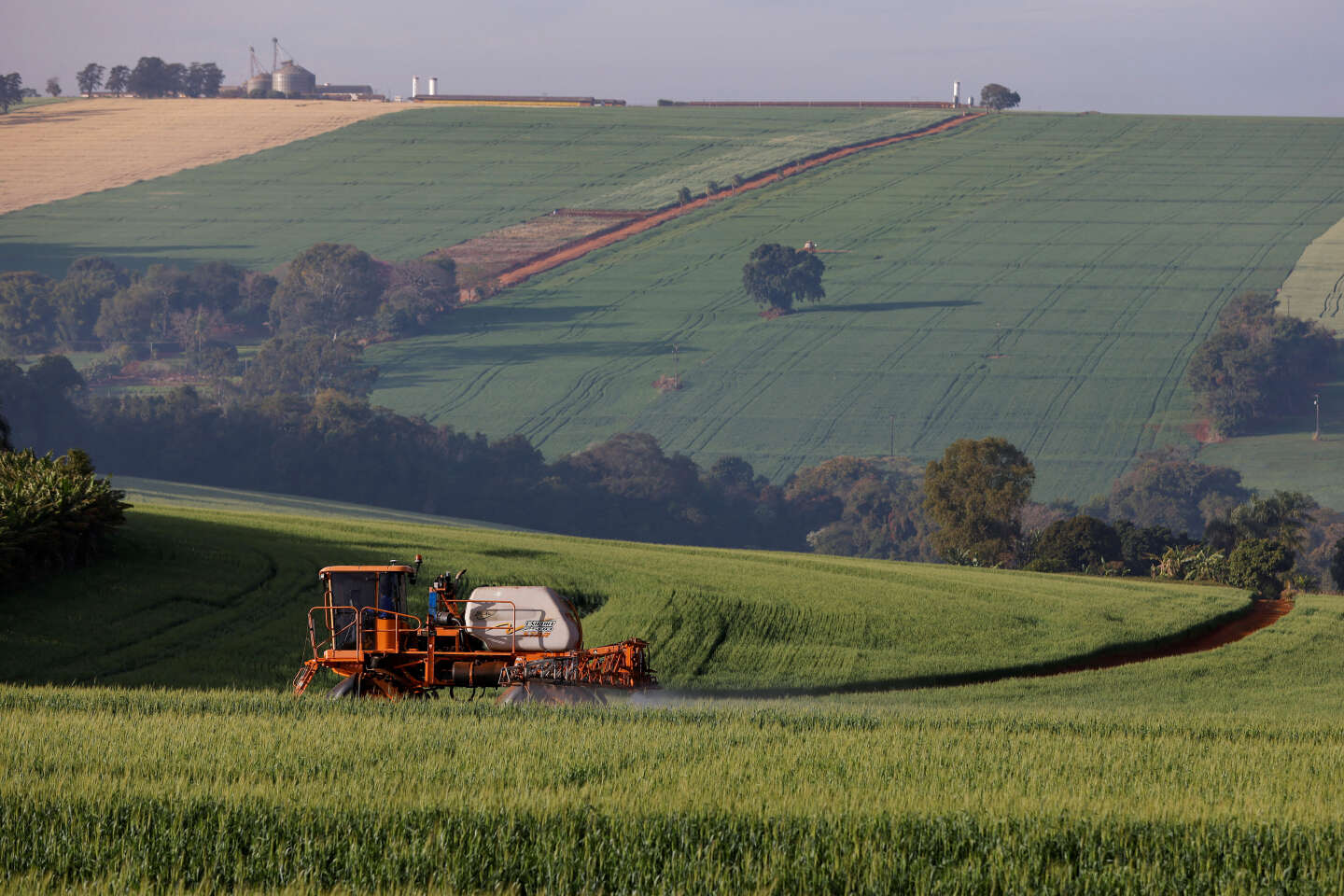 Francia sigue exportando miles de toneladas de pesticidas ultratóxicos pese a la prohibición de esta práctica