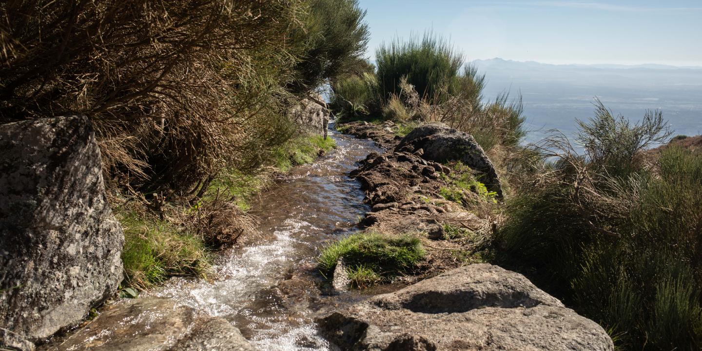Spanish farmers restore medieval irrigation canals to combat drought