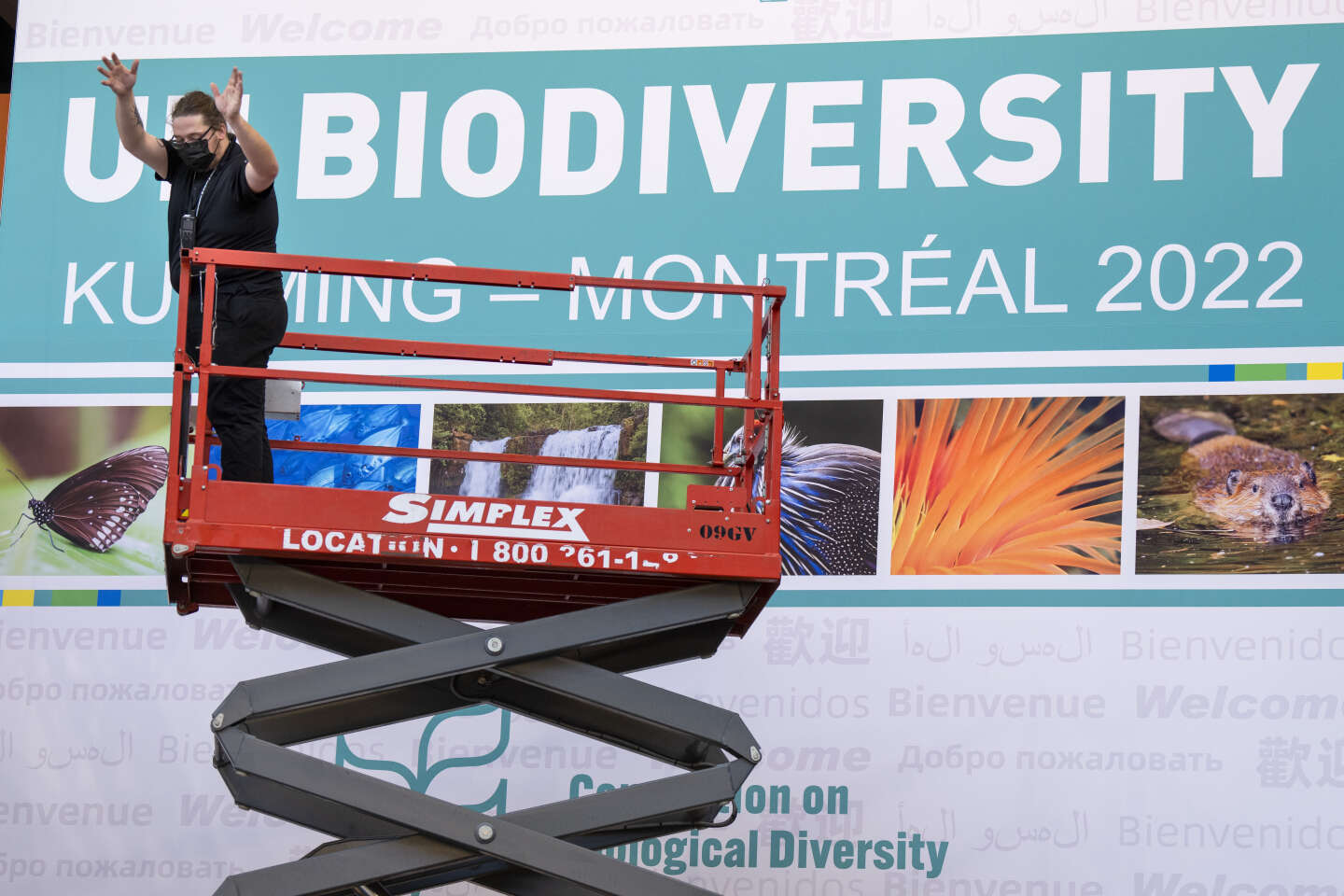 COP15 : le Canada entend jouer les premiers rôles dans la protection de la biodiversité