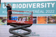 Workers set up the Montreal Convention Center in preparation for the UN Conference on Biodiversity (COP15). December 2, 2022