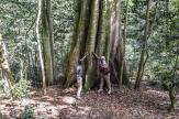 Dans la forêt de Ngangao, joyau de biodiversité au Kenya, la protection de l’environnement est un combat de tous les jours 