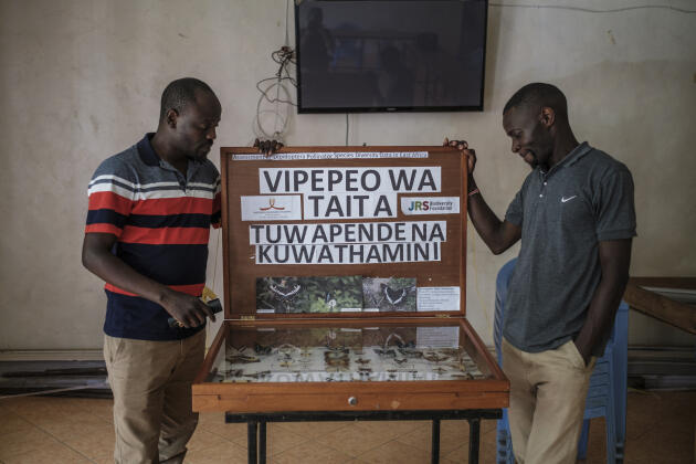 Nathaniel Mkombola et John Maganga, fondateurs de Dawida Biodiversity Conservation Group, dans le bâtiment du groupe dans le village de Wundanyi, au sud-ouest du Kenya, le 04 décembre 2022.