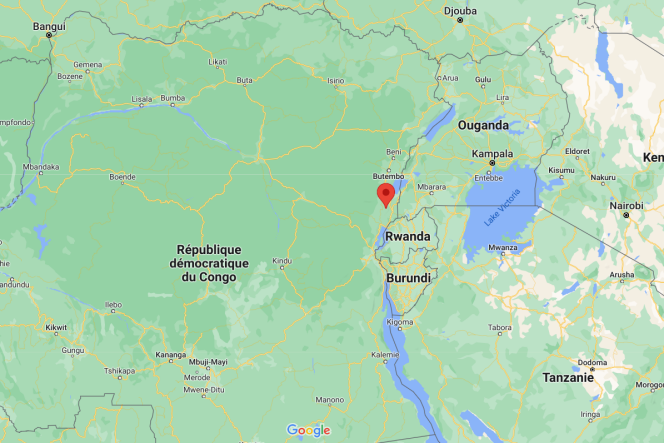 L’attaque a eu lieu le 29 novembre à Kishishe, dans la province du Nord-Kivu.