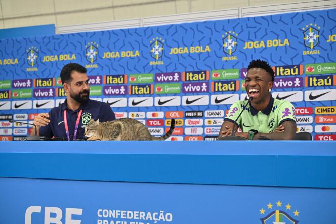 Un chat s’est invité à la conférence de presse du Brésilien Vinicius Junior, provoquant les éclats de rire de ce dernier. A Doha, le 7 décembre. 