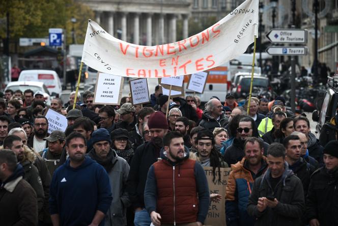 French Winegrowers Unite for Protest Against Climate Crisis