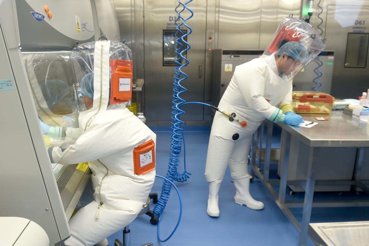 White House site blames China for Covid-19 'lab leak'