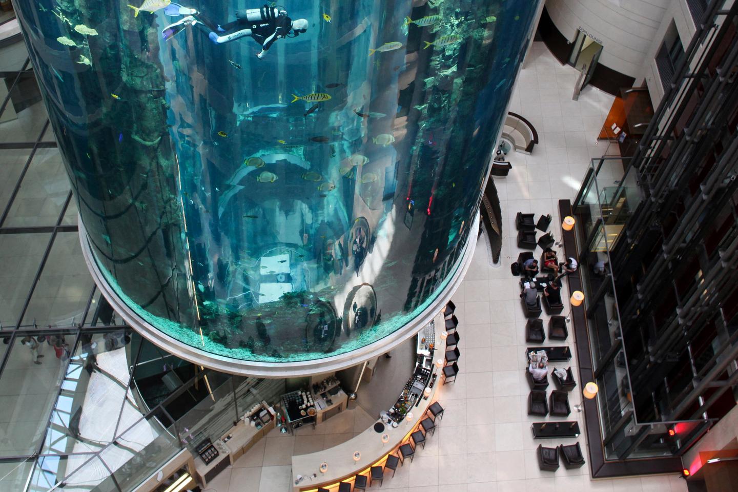 1,500 fish die after huge Berlin aquarium burst