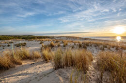 Contis plage, la dune côté sud. Photographie extraite du livre « Landes littorales », aux éditions du Cairn, 2020.