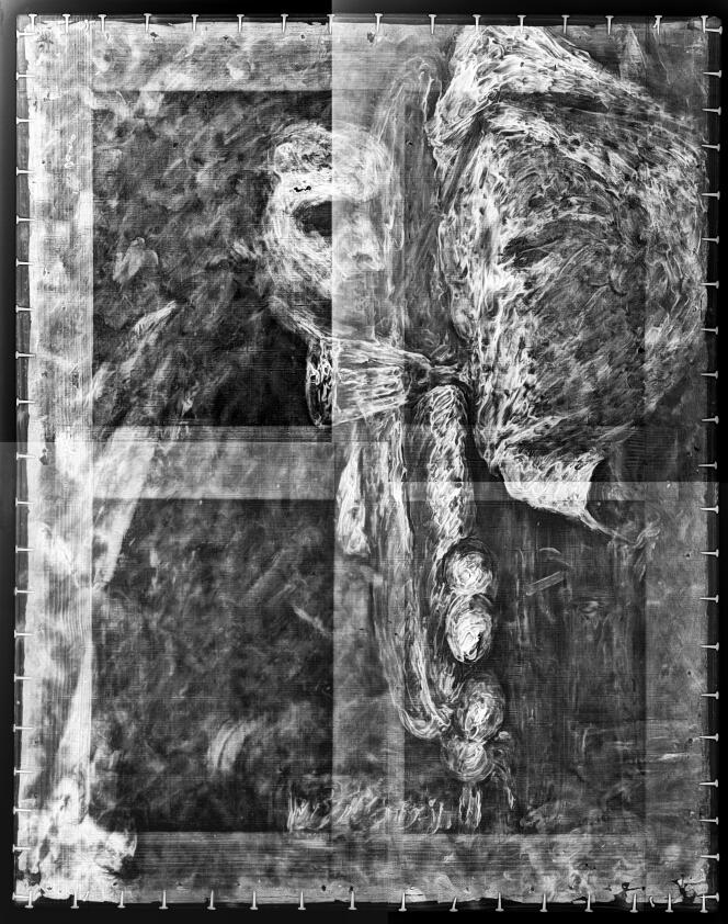 X-ray mosaic of the still life 