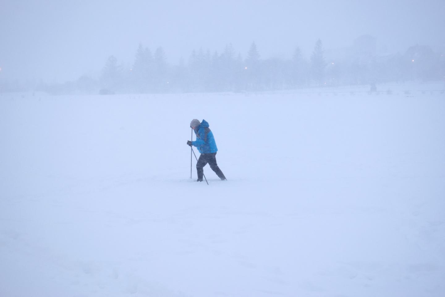 La neige no l esp ce en voie de disparition en europe