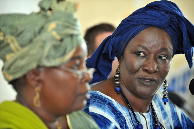 L'ex-ministre de la culture du Mali, Aminata Traoré, à Katibougou, en juillet 2008.