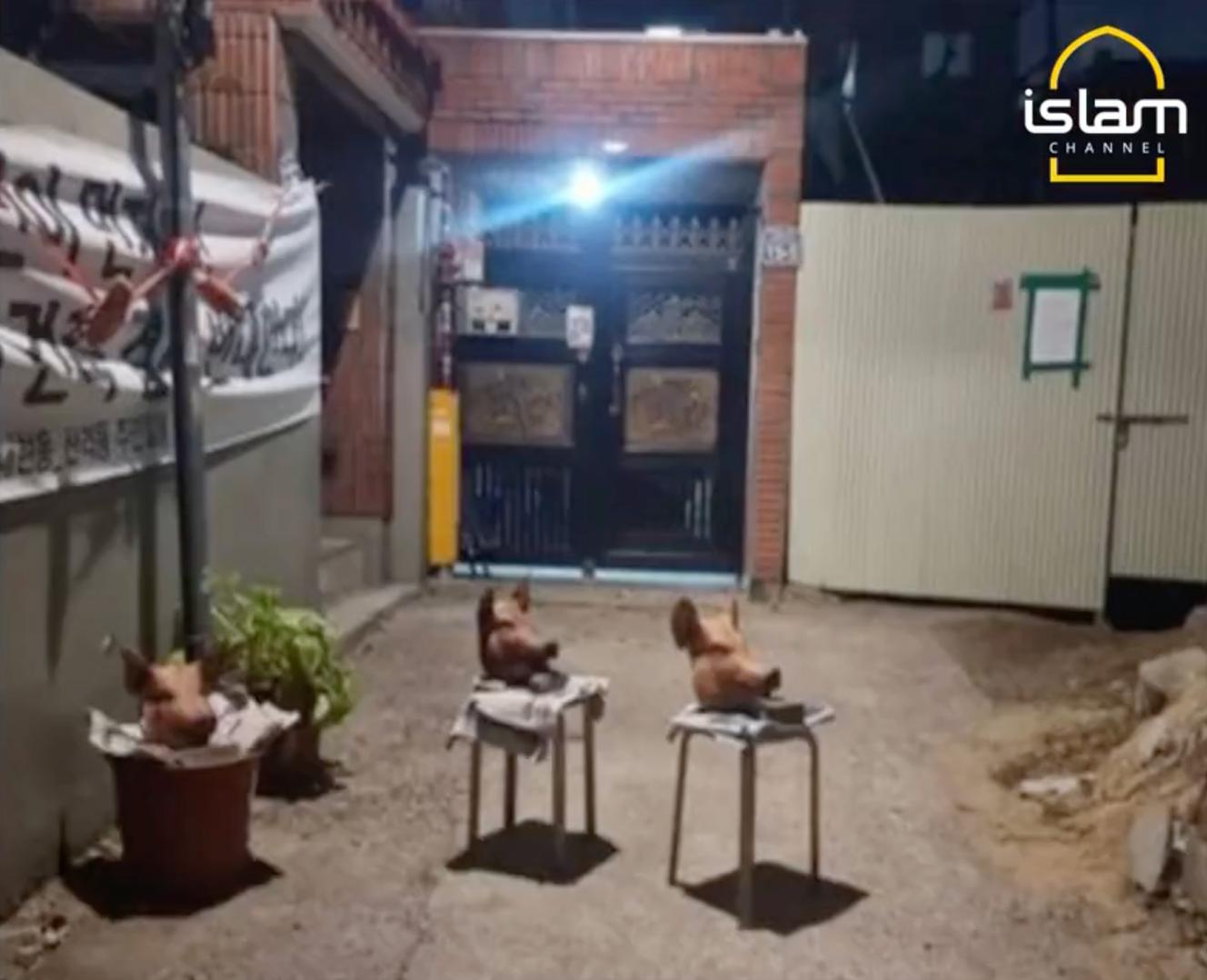 Capture d'écran d'une vidéo postée sur le compte Twitter @Islamchannel, le 28 décembre 2022, montrant des têtes de cochons et des pancartes avec des mots haineux contre les musulmans près du chantier de construction d'une mosquée, à Daegu (Corée del Sur).