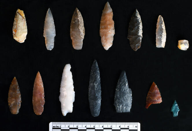 Pointes de projectiles en pierre découvertes sur le site de Cooper’s Ferry (Idaho, Etats-Unis).