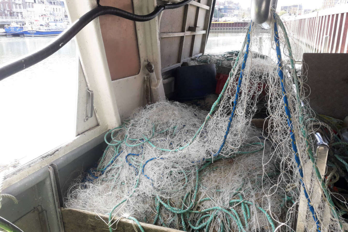 Biosourced and biodegradable fishing nets could help avoid a
