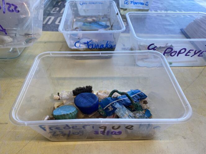 Les déchets plastiques rejetés par Frédériquette et d’autres tortues, à l’aquarium Kélonia, à Saint-Leu (La Réunion), en novembre 2022.