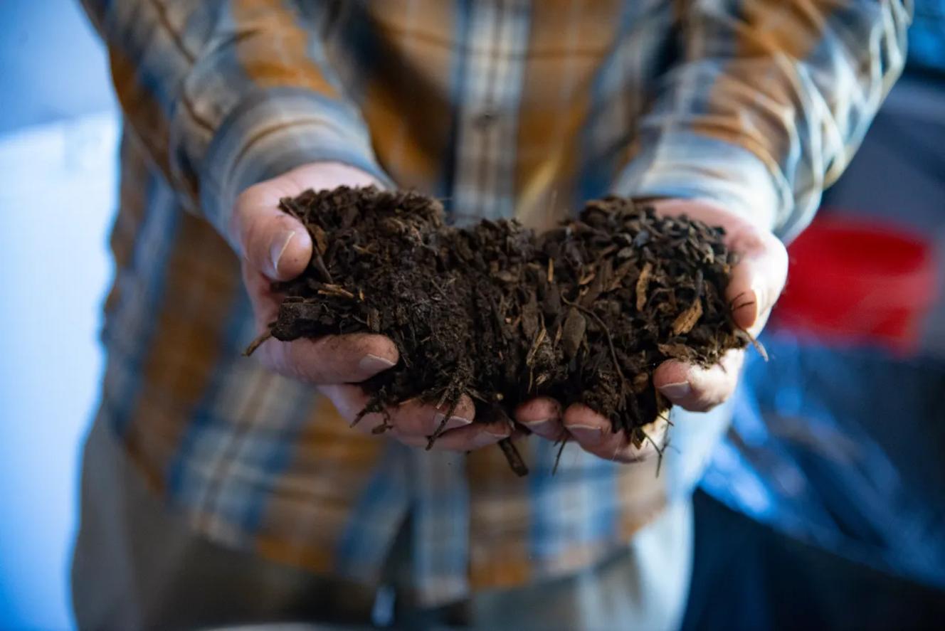 Après six mois de compostage, les restes humains sont donnés aux familles sous forme de terreau.
