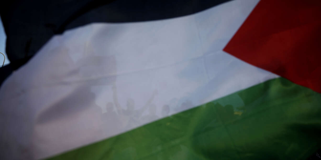 La loi sur l'interdiction du drapeau palestinien dans les institutions  d'État avance - The Times of Israël