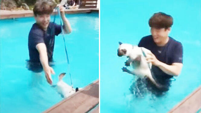 Las capturas de pantalla muestran al sospechoso, Lee Ki-young, torturando a un gato en una piscina. 