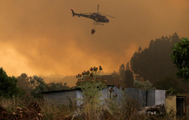 During a forest fire in Leiria (Portugal), July 13, 2022. 
