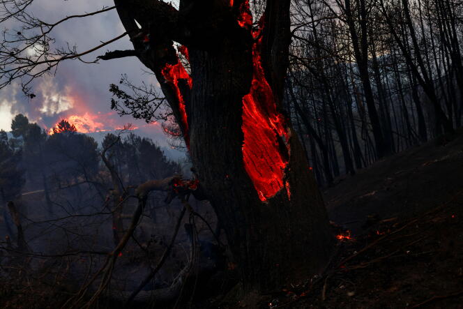 Tijdens een bosbrand in Videmonte (Portugal), 11 augustus 2022. In dit land hebben bosbranden in de loop van het jaar in totaal 104.379 hectare verwoest, volgens het European Forest Fire Information System (EFIS).